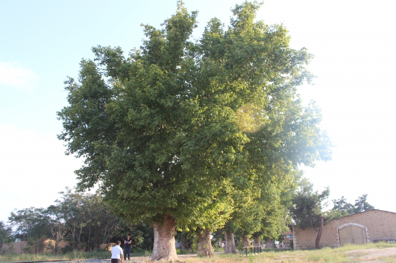 Eskişehir Tabiat Varlıklarını Koruma Bölge Komisyonu Toplantısı İlimizde Gerçekleştirildi.