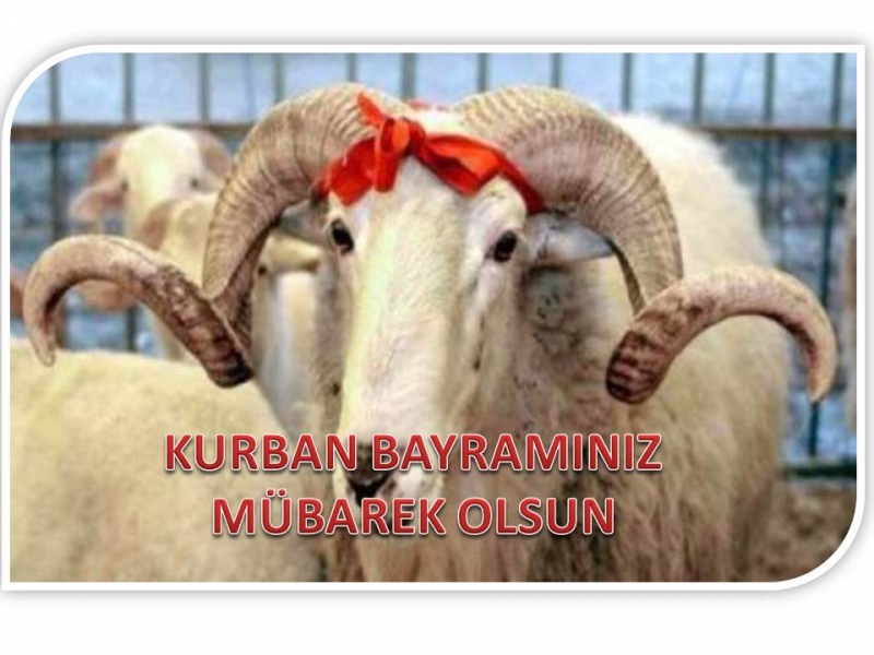 KURBAN BAYRAMI TEBRİĞİ