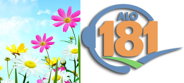 ALO 181 İLE 38 BİN MEMNUN VATANDAŞ