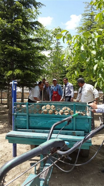 İl Müdürlüğümüz Bahçe Peyzaj Çalışmaları Tamamlanıyor.