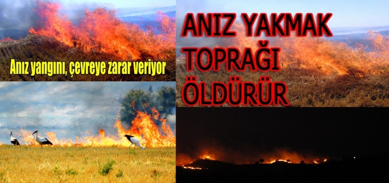  Anız yakan kendini, ülkesini ve geleceğini YAKAR!