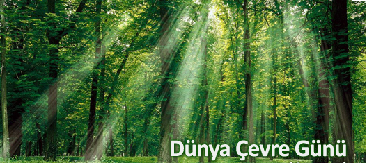 MÜDÜRLÜĞÜMÜZ DÜNYA ÇEVRE GÜNÜ PROGRAMI