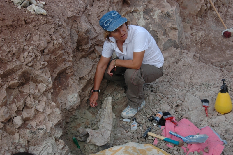 İL MÜDÜRLÜĞÜMÜZ DOĞAL MİRASLARIMIZA VERDİĞİ ÖNEMLE YENİ SİT ALANLARININ OLUŞMASINA YÖNELİK ÇALIŞMALARINI SÜRDÜRÜYOR.