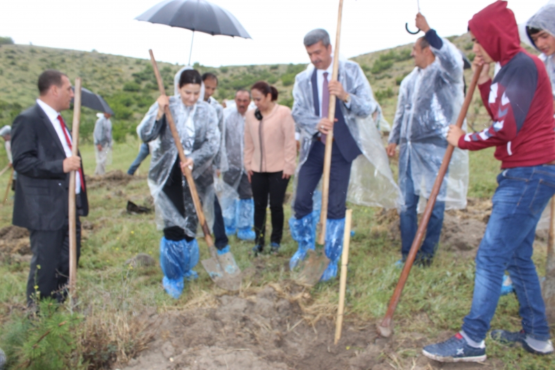 BEYPAZARI İLÇEMİZDE AĞAÇ DİKİM KAMPANYASI