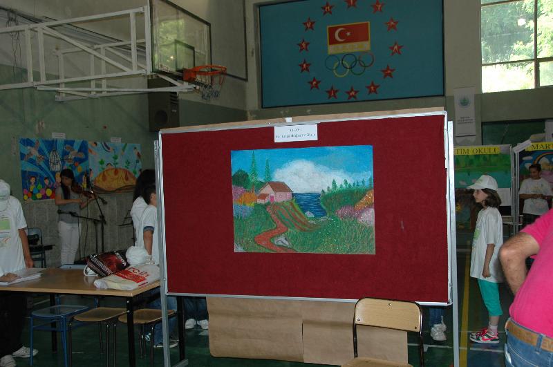 Dünya Çevre Günü,Etkinlik ve Kutlama