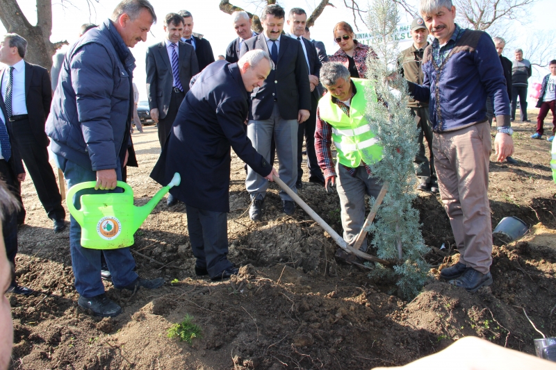 15 TEMMUZ ŞEHİTLERİ HATIRA ORMANI FİDAN DİKİMİ