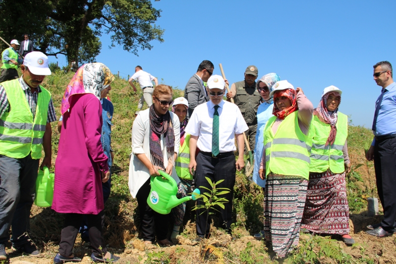 15 TEMMUZ ŞEHİTLERİ HATIRA ORMANI FİDAN DİKİMİ ETKİNLİĞİ