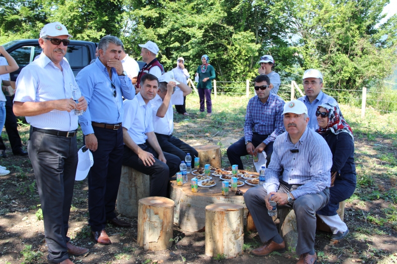 15 TEMMUZ ŞEHİTLERİ HATIRA ORMANI FİDAN DİKİMİ ETKİNLİĞİ