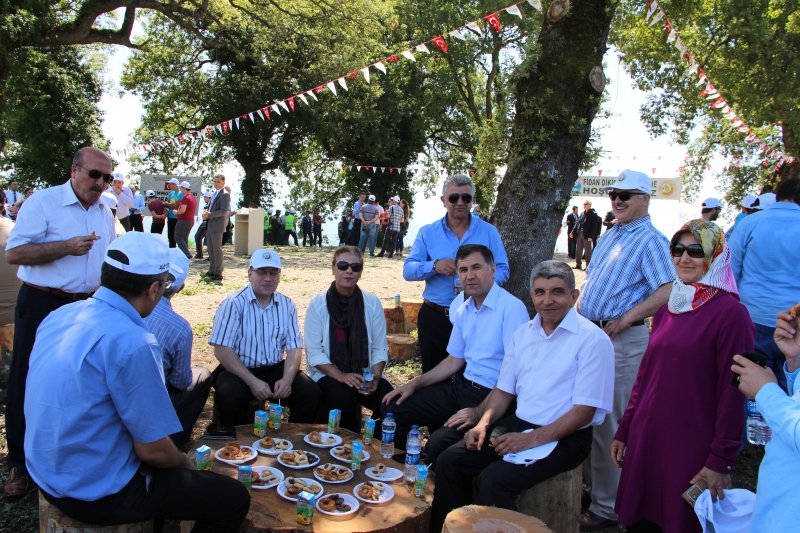 15 TEMMUZ ŞEHİTLERİ HATIRA ORMANI FİDAN DİKİMİ ETKİNLİĞİ