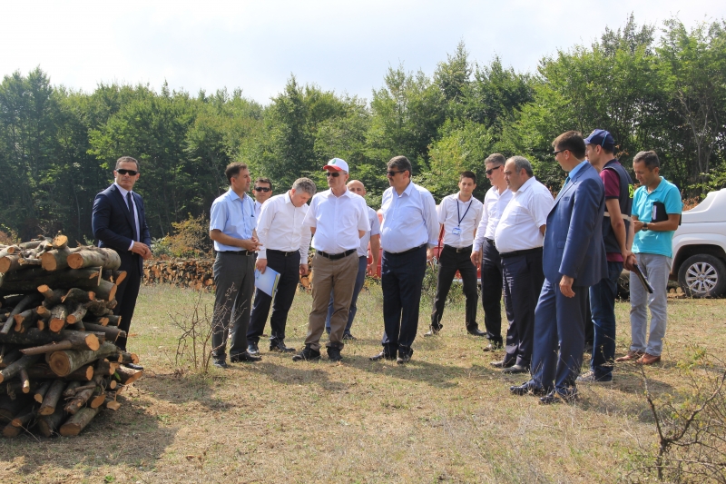 Katı Atık Düzenli Depolama Tesisi 