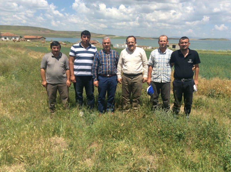 İl Müdürümüz Sayın Seyitahmet SANCAK Kızılyar Köyünde İncelemelerde Bulundu.