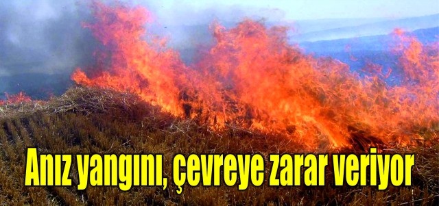 Anız Yangınları Çevreye Zarar Veriyor.