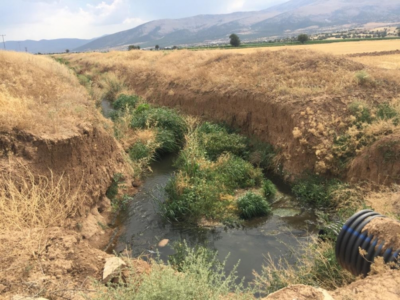 DALAMAN ÇAYINDA YERİNDE YAPILAN İNCELEMELER