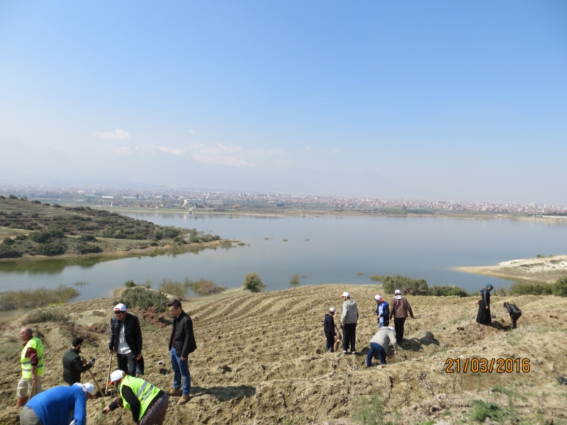 21 MART DÜNYA ORMANCILIK GÜNÜ KUTLANDI