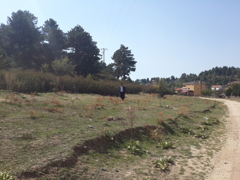 BULDAN İLÇESİ SÜLEYMANLI YAYLA GÖLÜ I. DERECE DOĞAL SİT ALANINDA İNCELEME