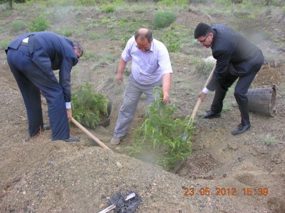 Müdürlüğümüz Hatıra Ormanı