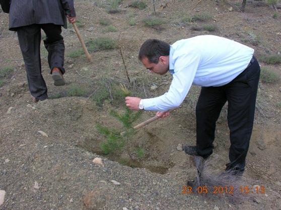 Müdürlüğümüz Hatıra Ormanı