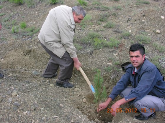 Müdürlüğümüz Hatıra Ormanı