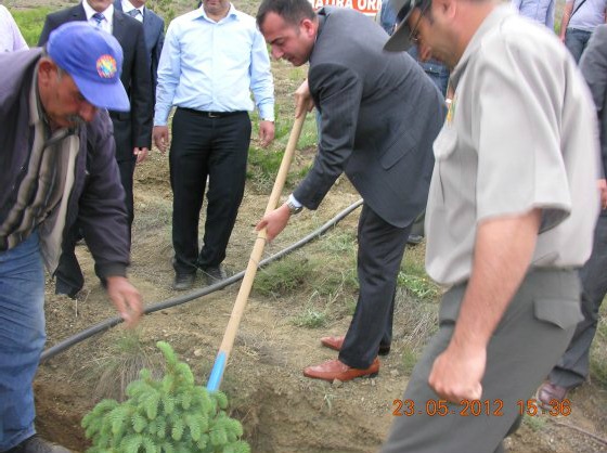 Müdürlüğümüz Hatıra Ormanı