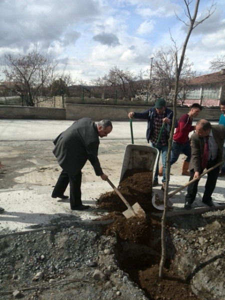 Ağaç Dikimi Bahar Şenliği