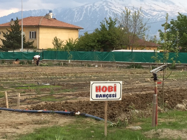 Hobi Bahçemiz ve Sosyal Etkinliklerimiz devam ediyor...