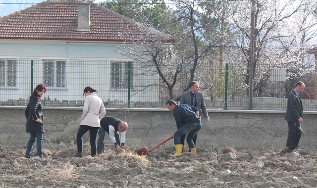 MÜDÜRLÜĞÜMÜZ BAHÇESİNE AĞAÇ DİKİMİ YAPILDI