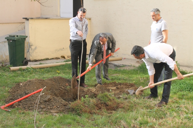 MÜDÜRLÜĞÜMÜZ BAHÇESİNE AĞAÇ DİKİMİ YAPILDI