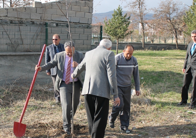 MÜDÜRLÜĞÜMÜZ BAHÇESİNE AĞAÇ DİKİMİ YAPILDI