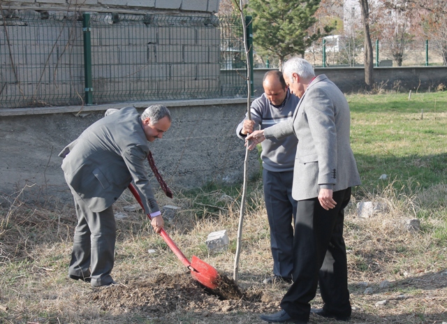 MÜDÜRLÜĞÜMÜZ BAHÇESİNE AĞAÇ DİKİMİ YAPILDI