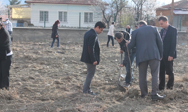 MÜDÜRLÜĞÜMÜZ BAHÇESİNE AĞAÇ DİKİMİ YAPILDI