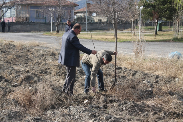 MÜDÜRLÜĞÜMÜZ BAHÇESİNE AĞAÇ DİKİMİ YAPILDI