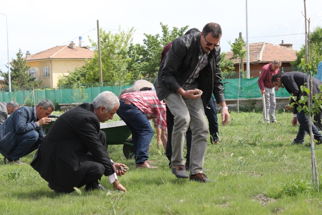 Çevremiz Güzelleşiyor...