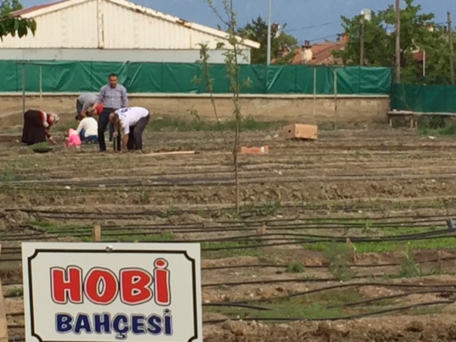 Hobi Bahçemiz ve Sosyal Etkinlikerimiz devam ediyor...