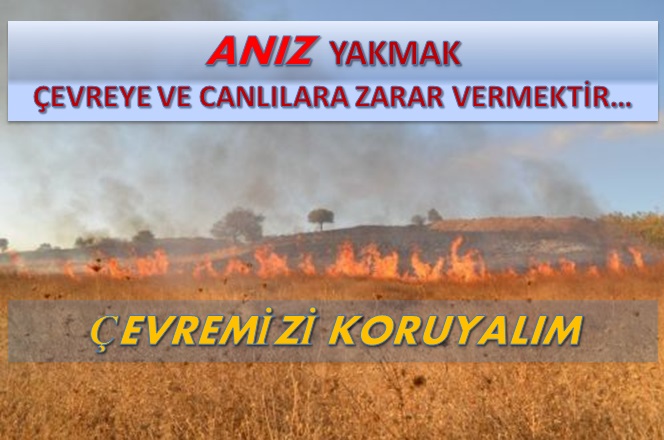 Anız Yangınları...