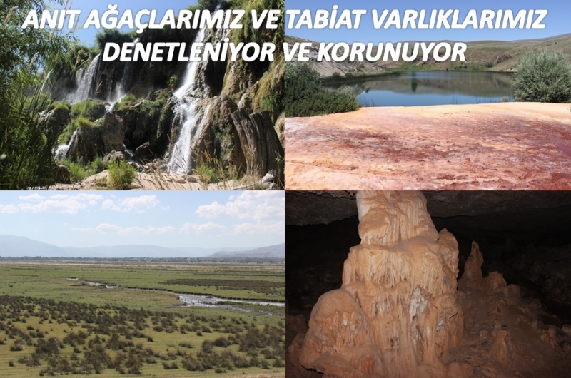 Tabiat Varlıklarımız