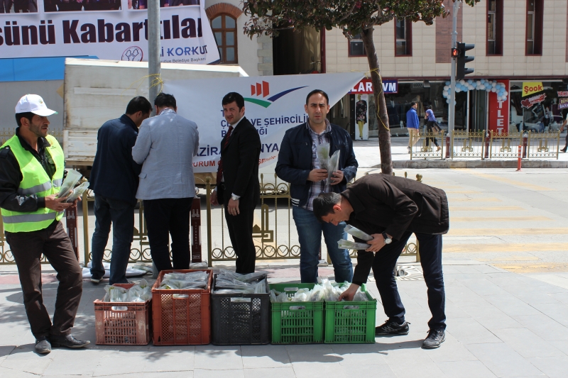 5 HAZİRAN DÜNYA ÇEVRE GÜNÜ ETKİNLİKLERİ - 3