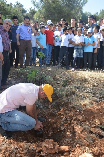 Fidan Dikimi Etkinliği