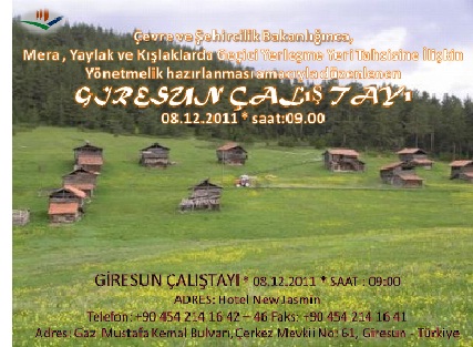 Giresun Çalıştayı