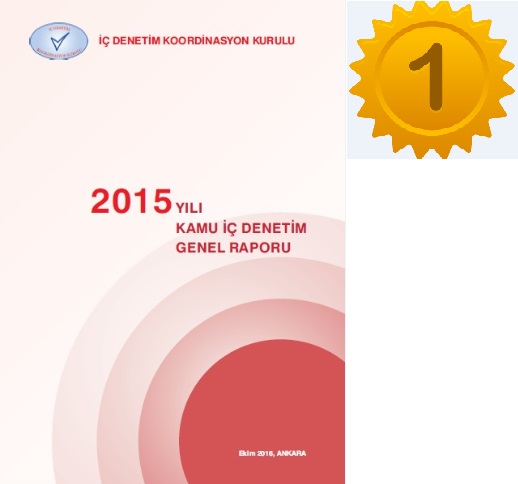 2015 Yılı Kamu İç Denetim Genel Raporu Yayımlanmıştır.