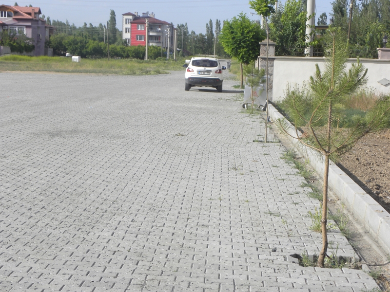 Çevre Günü Etkinliklerimiz ( Gönüllü Çevre Dostumuz; Sayın Mehmet KADAHAN)