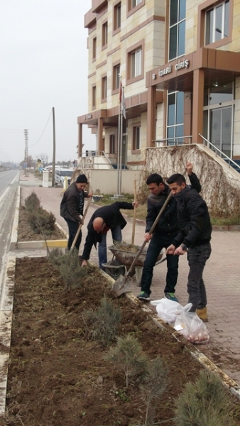 Süs Bitkilerinin Tanıtımı Projesi.