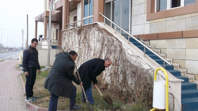 Süs Bitkilerinin Tanıtımı Projesi.