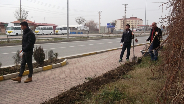 Süs Bitkilerinin Tanıtımı Projesi.