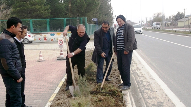 Süs Bitkilerinin Tanıtımı Projesi.