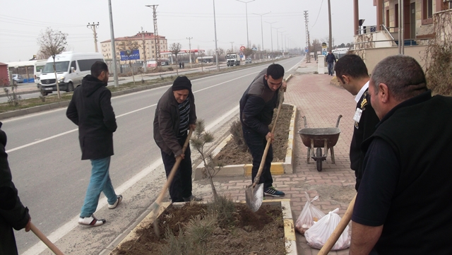 Süs Bitkilerinin Tanıtımı Projesi.