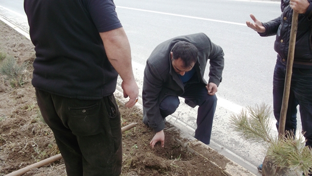 Süs Bitkilerinin Tanıtımı Projesi.