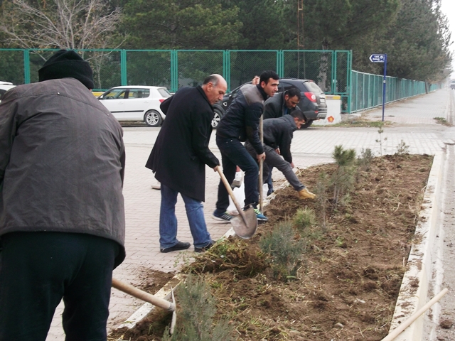 Süs Bitkilerinin Tanıtımı Projesi.