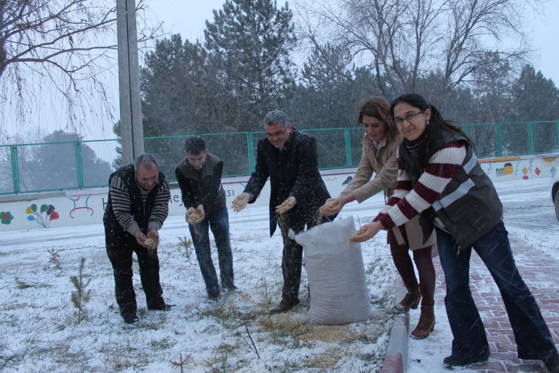 Aç Kalma Riskiyle Karşı Karşıya Olan Kuşlar İçin İl Müdürlüğümüz Bahçesine Besi Yemi Bırakıldı.