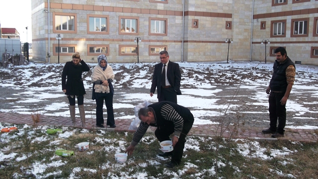 Aç Kalma Riskiyle Karşı Karşıya Olan Kuşlar İçin İl Müdürlüğümüz Bahçesine Besi Yemi Bırakıldı.