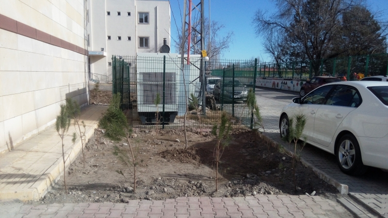 İl Müdürlüğümüz Hizmet Binasının Bahçesine Çam ve Erguvan   Fidanı Dikildi.